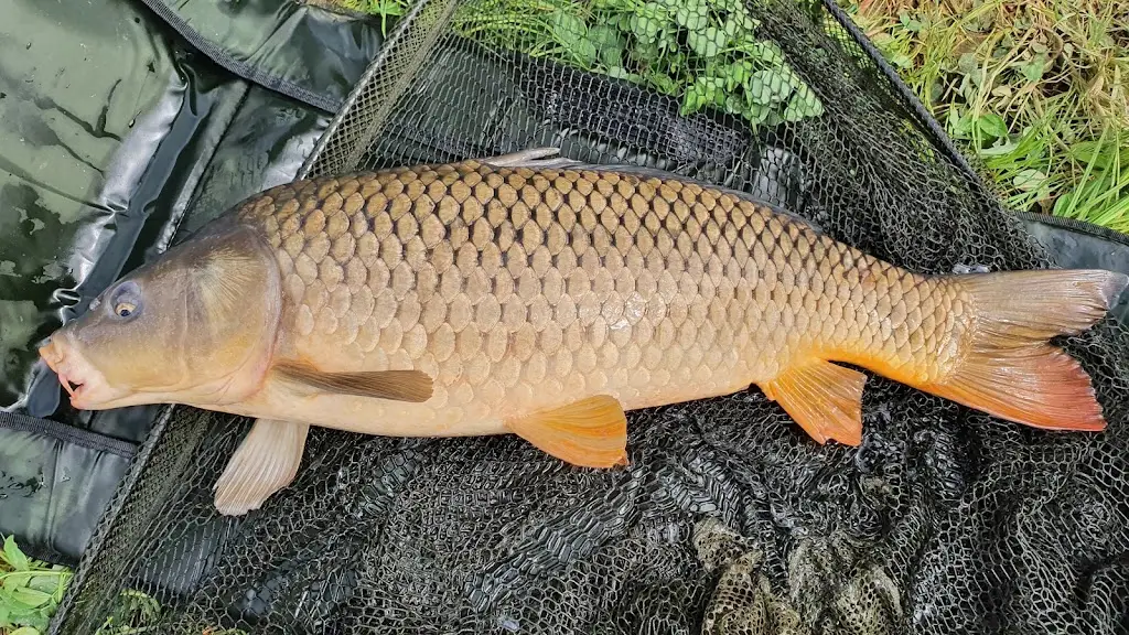 Čertovy rybníky_Konice_slider_image_2