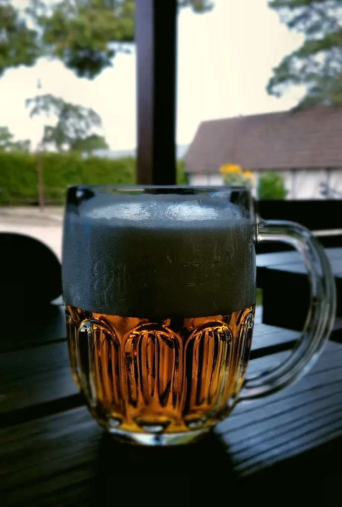 Menu_Bodlak Pub_Moravičany_image_5