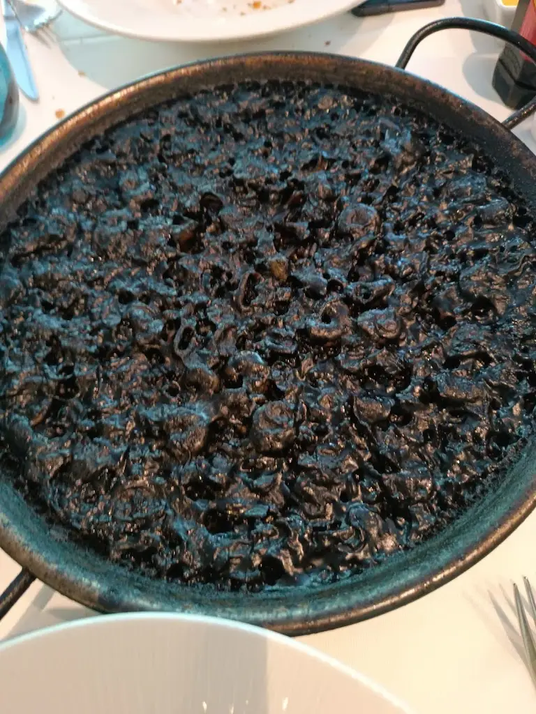 Wissal_Mediterrae_Medlov_review