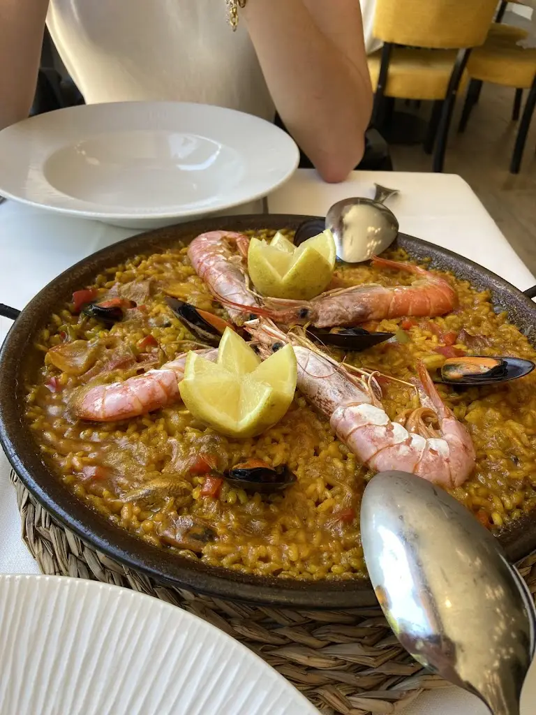 Kristóf Kováč_Mediterrae_Medlov_review