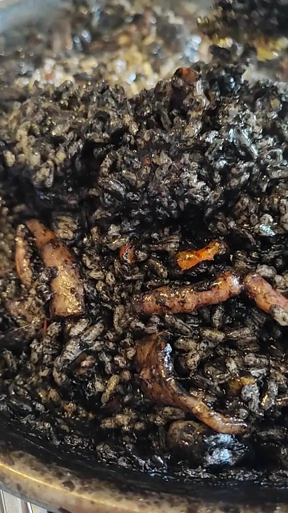 Mediterrae_Medlov_slider_image_2