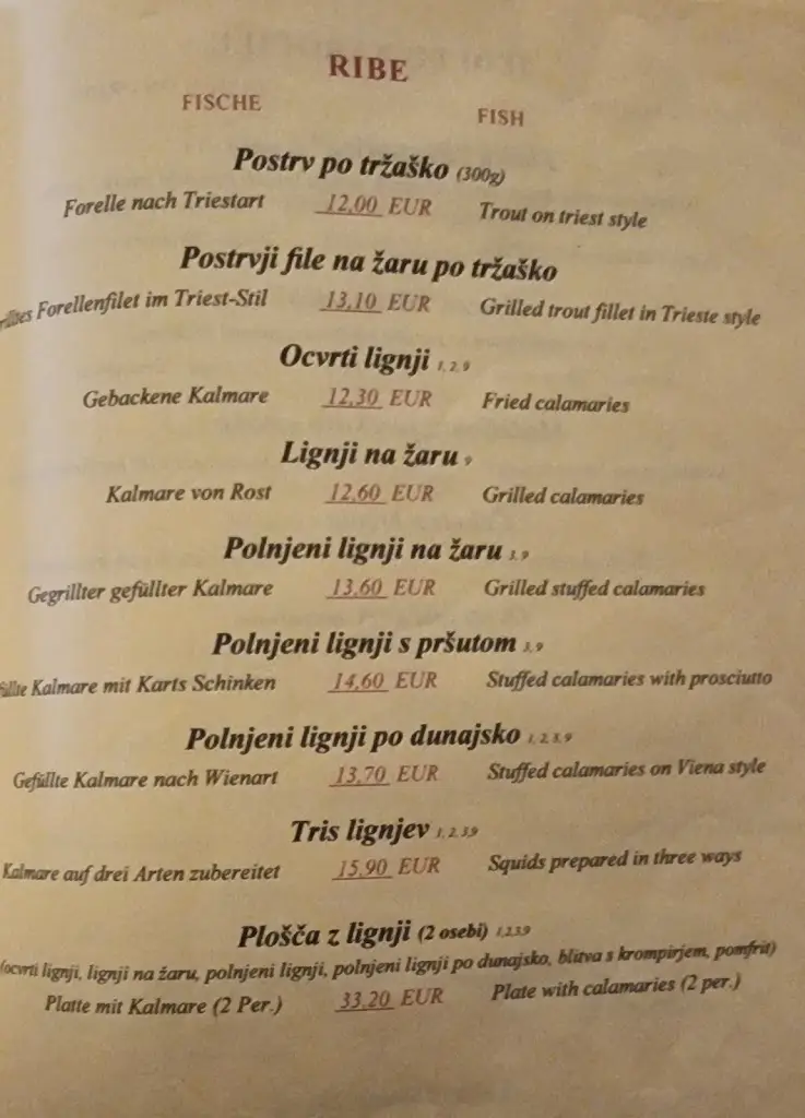 Menu_Gostilna Brunarica Štern_Náklo_image_4