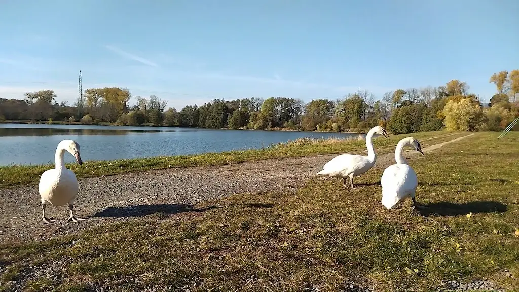 Občerstvení u Jadranu_Osek nad Bečvou_slider_image_2