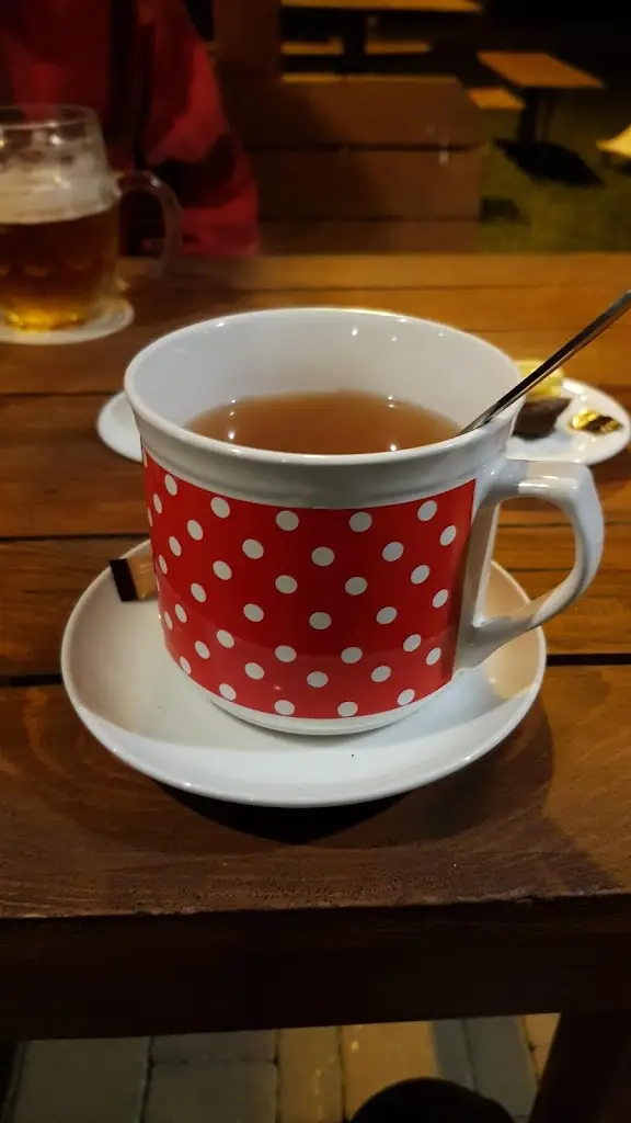 Menu_Pohostinství Veselý_Otaslavice_image_3