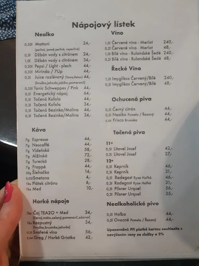 Menu_Taverna „U Shreka“_Okres Šumperk_image_3