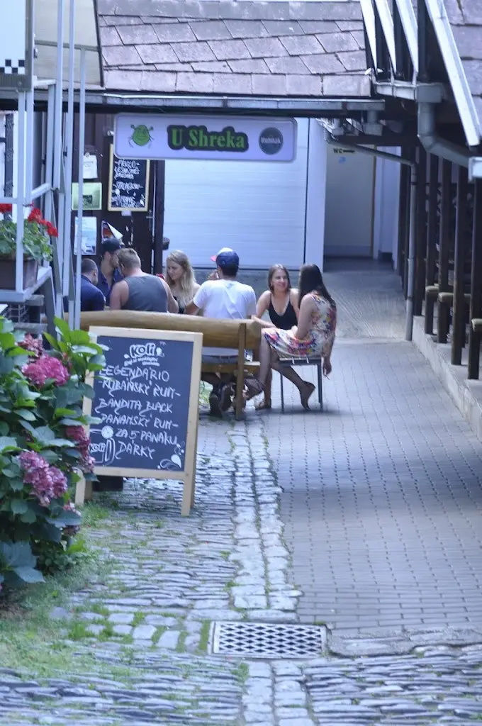 Robert Ruszczyk_Taverna „U Shreka“_Okres Šumperk_review