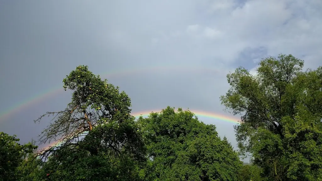 Sokolovna Nový Malín restaurant in Nový Malín