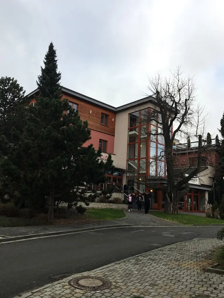 Martin Bosani_Arte Restaurant_Nový Malín_recensione