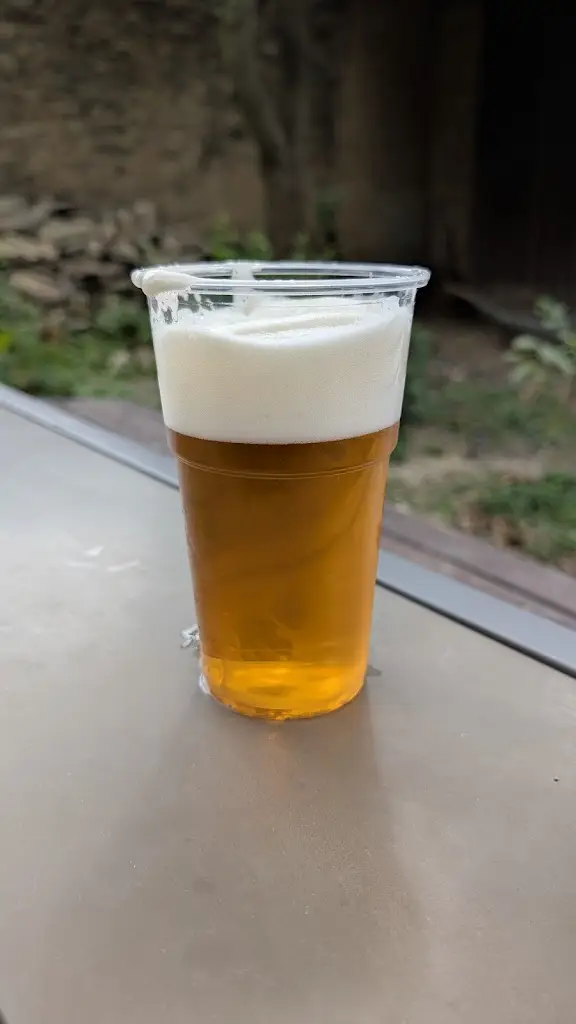 Dominik_Občerstvení Na dvorečku_Přemyslovice_review