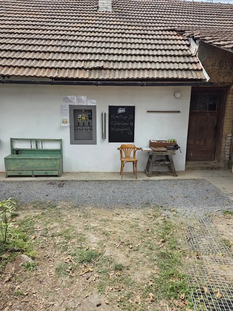 Veronika_Občerstvení Na dvorečku_Přemyslovice_review