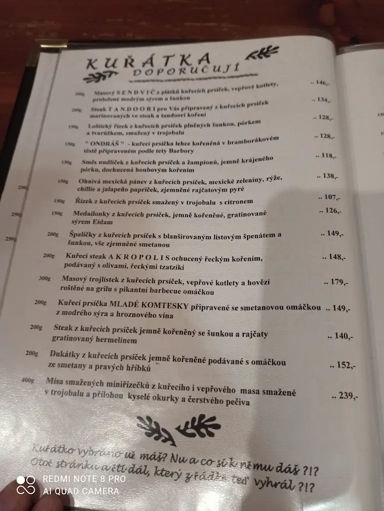 Menu_Restaurace Na Špici_Postřelmov_image_4