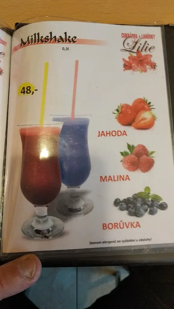 Menu_Kavárna Lepší časy_Senice na Hané_image_2