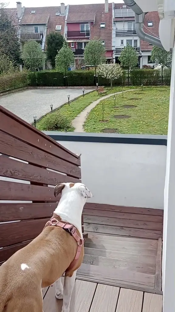 Penzion Majorka_Slatinice_slider_image_2