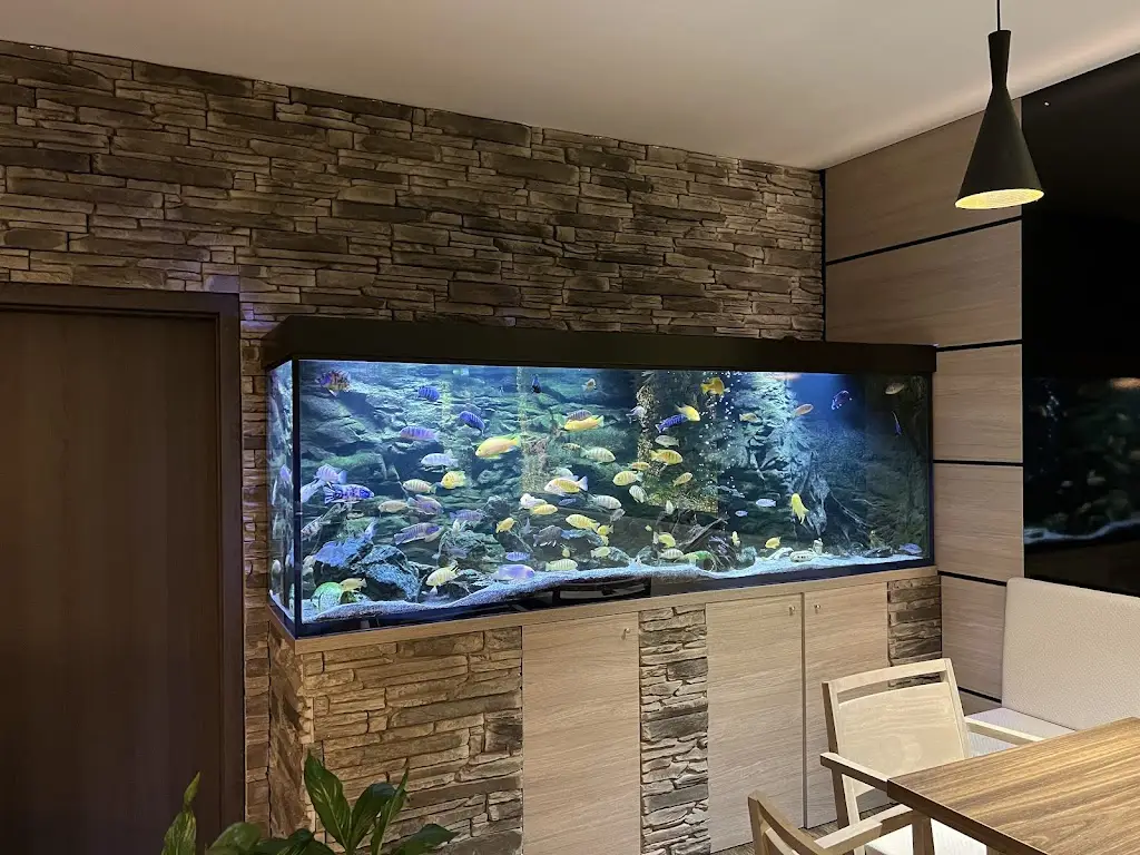 Loraine Alcorn_Restaurace ŠTĚPÁNOV_Štěpánov_review