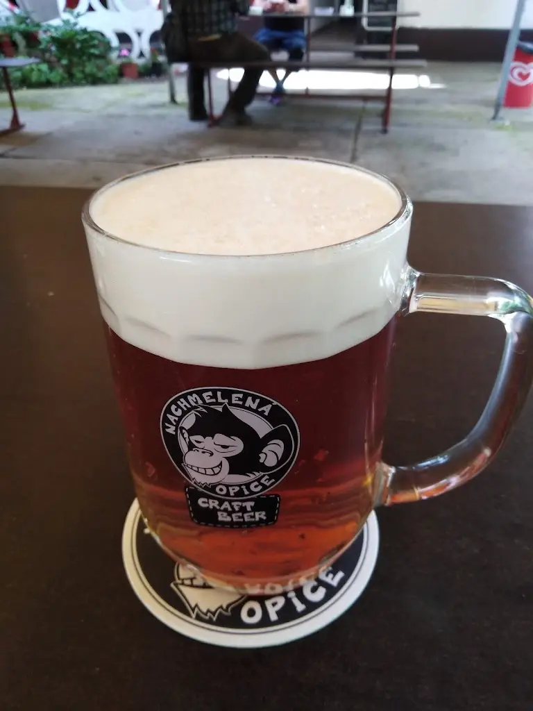 Menu_Restaurace na Nábřeží_Tovačov_immagine_2