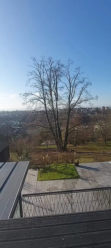 Restaurant a Pension u Hradu_Šternberk_slider_image_2