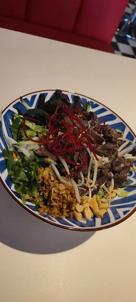 Rene Kotera_AVOCADO authentic vietnamese kitchen_Uničov_review