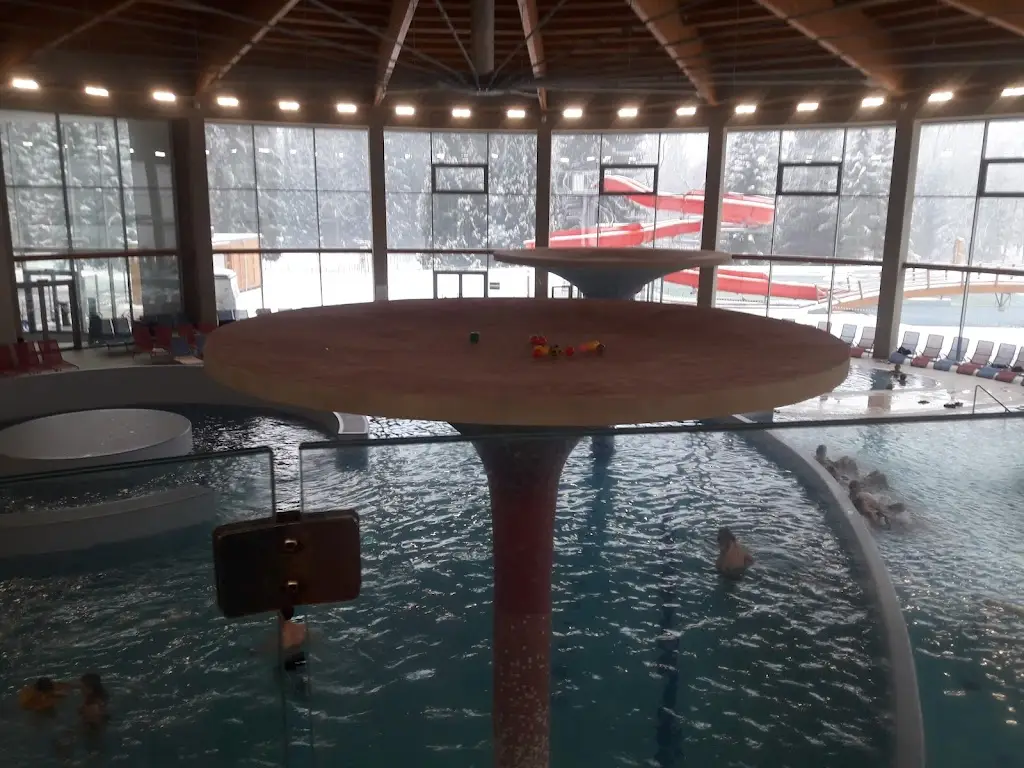 Vladimir M_Losiny Thermal Spa_Velké Losiny_recensione