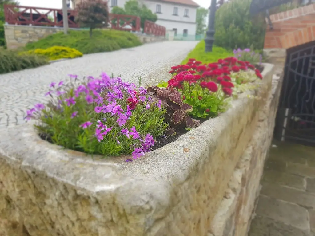 mira C_PIVOVAR DAŠICE – DAŠICKÉ SKLEPY_Dašice_review