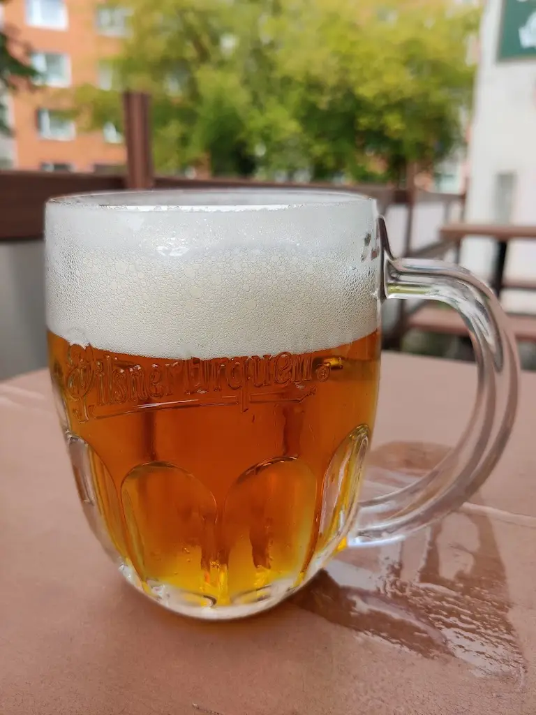 Menu_Restaurace U Pucholtů_Česká Třebová_immagine_5