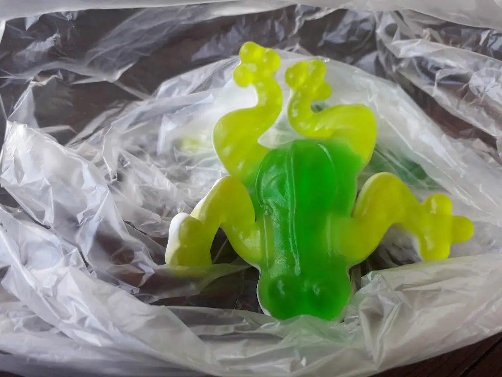 Menu_Hospůdka Žabka_Hradec nad Svitavou_image_1