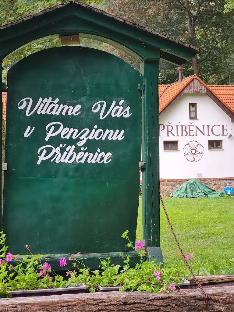 Vlada Nedved_Restaurace Příběnice_Malšice_review