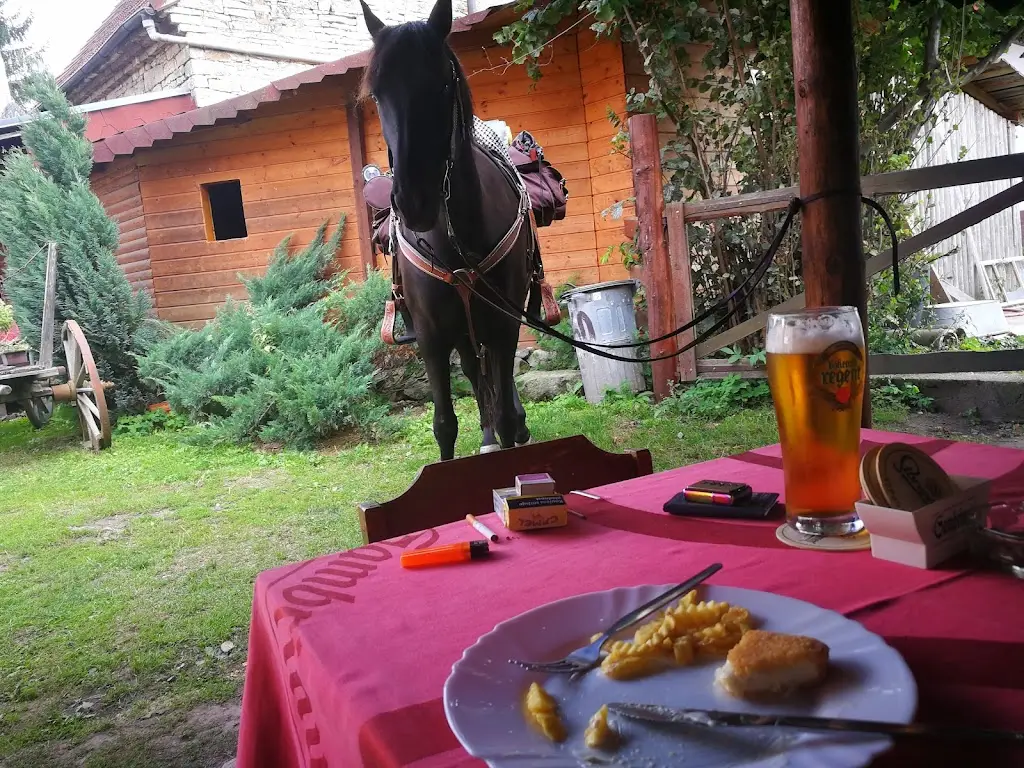 Jirka stáje Šulc_Saloon Klondike_Luže_review