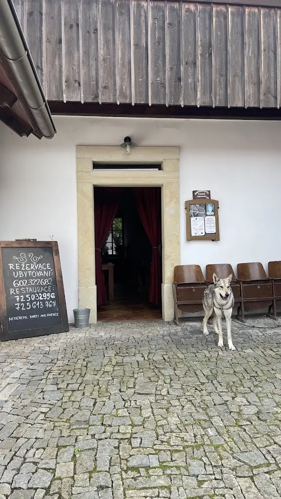 Natalie S. Groulíková_Holubník statečných žen králových_Luže_review