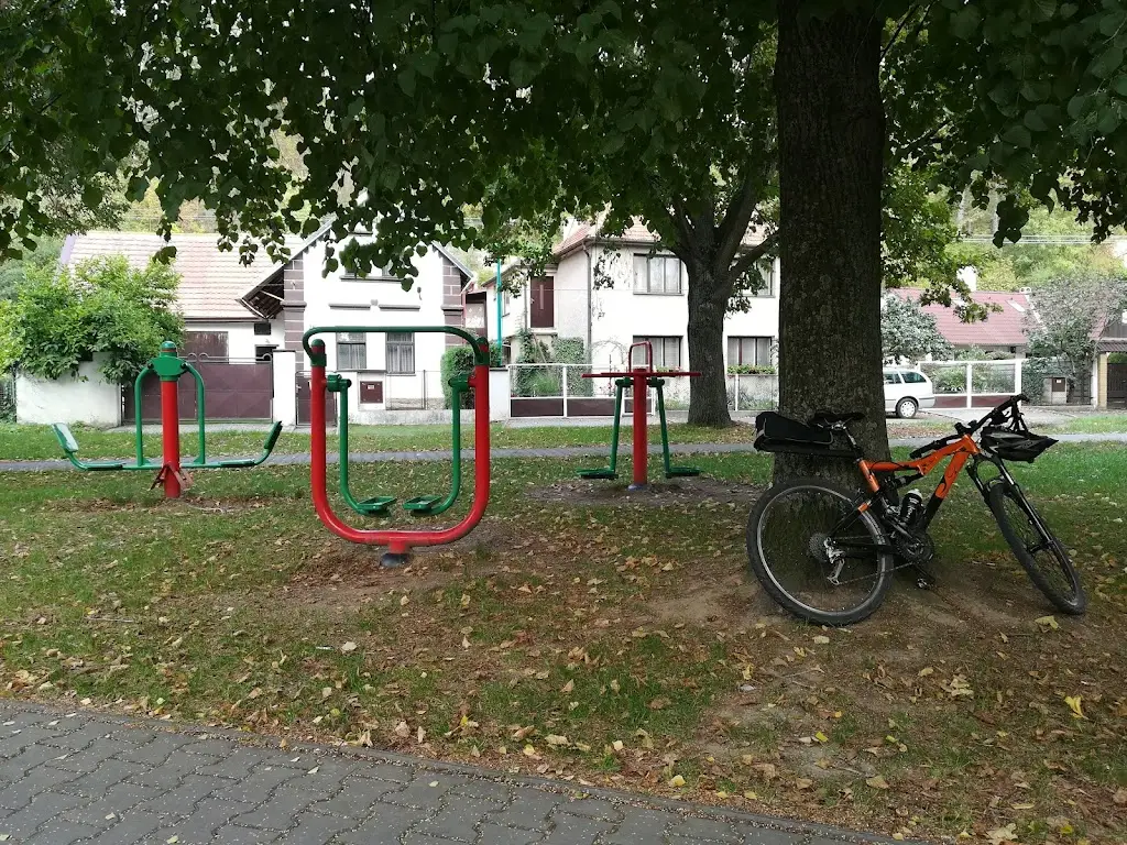 Mirka Skoty_Restaurace Zlatá Hvězda_Luže_review