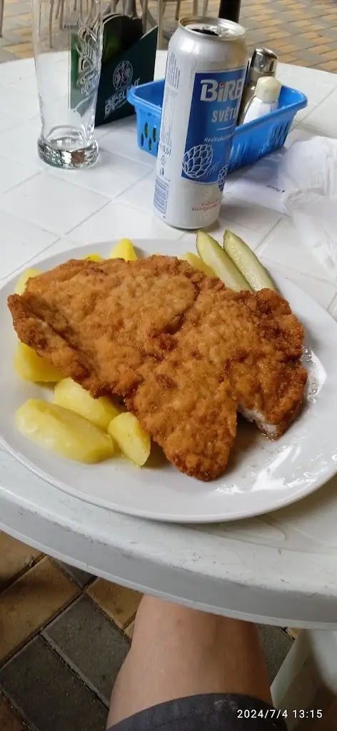 Milan Taich_Motorest Na samotě, s.r.o._Řečany nad Labem_review