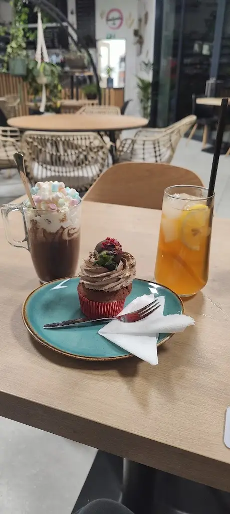 Ondrej Kolonicny_United kávárna v zahradě_Rybitví_review