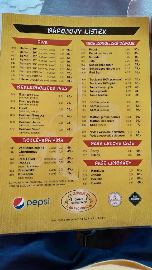 Menu_Čínská restaurace U Bílého koníčka_Pardubice_image_2