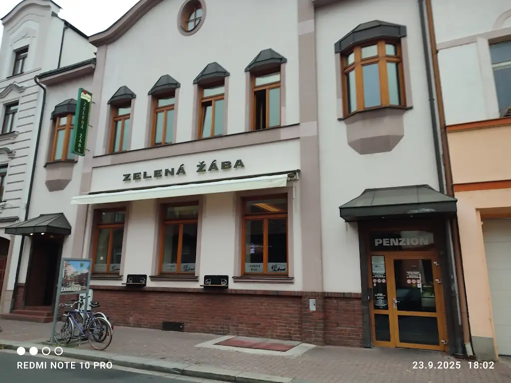 Green Frog Restaurant restaurant in Pardubice