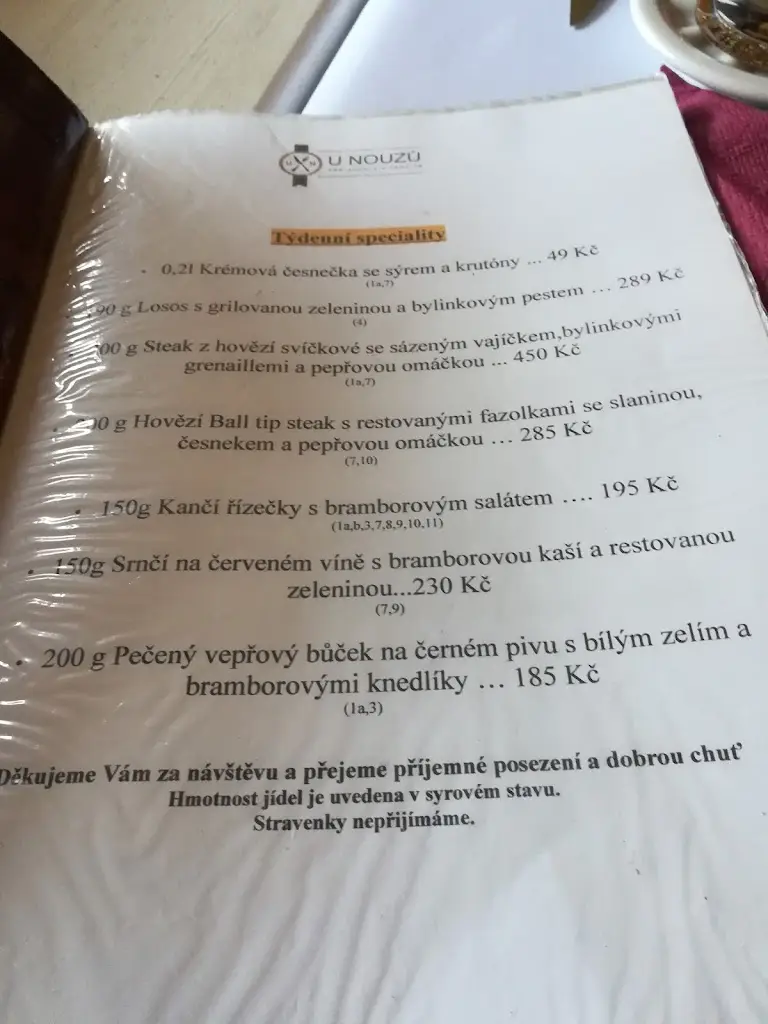 Menu_Restaurace U Nouzů_Staré Hradiště_immagine_2