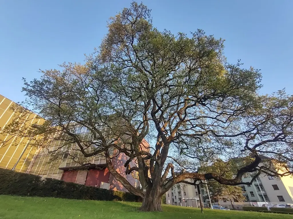 U Babyky_Okres Ústí nad Orlicí_slider_image_2