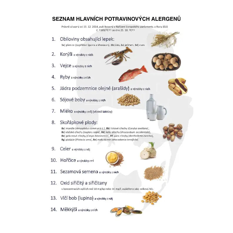 Menu_Chaplin Restaurant_Okres Ústí nad Orlicí_image_3