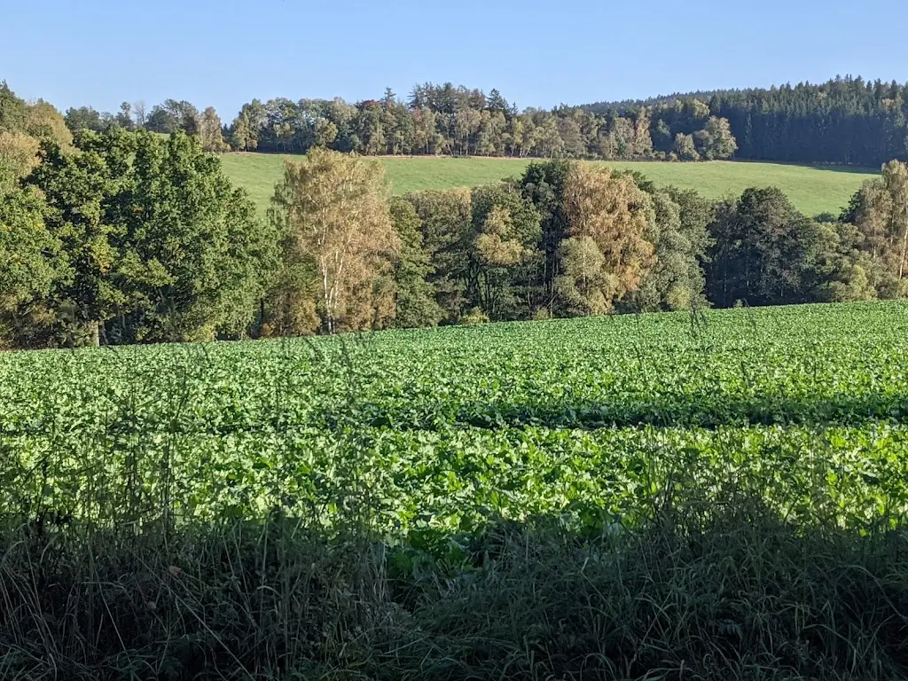 Daniel Lehner_Bělá nad Radbuzou_Bělá nad Radbuzou_review