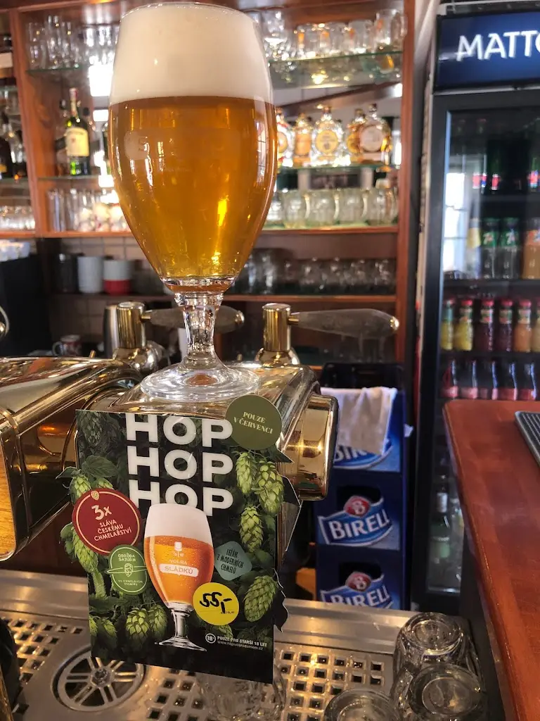 Plzeňská restaurace U Zvonice_Mladá Vožice_slider_image_3