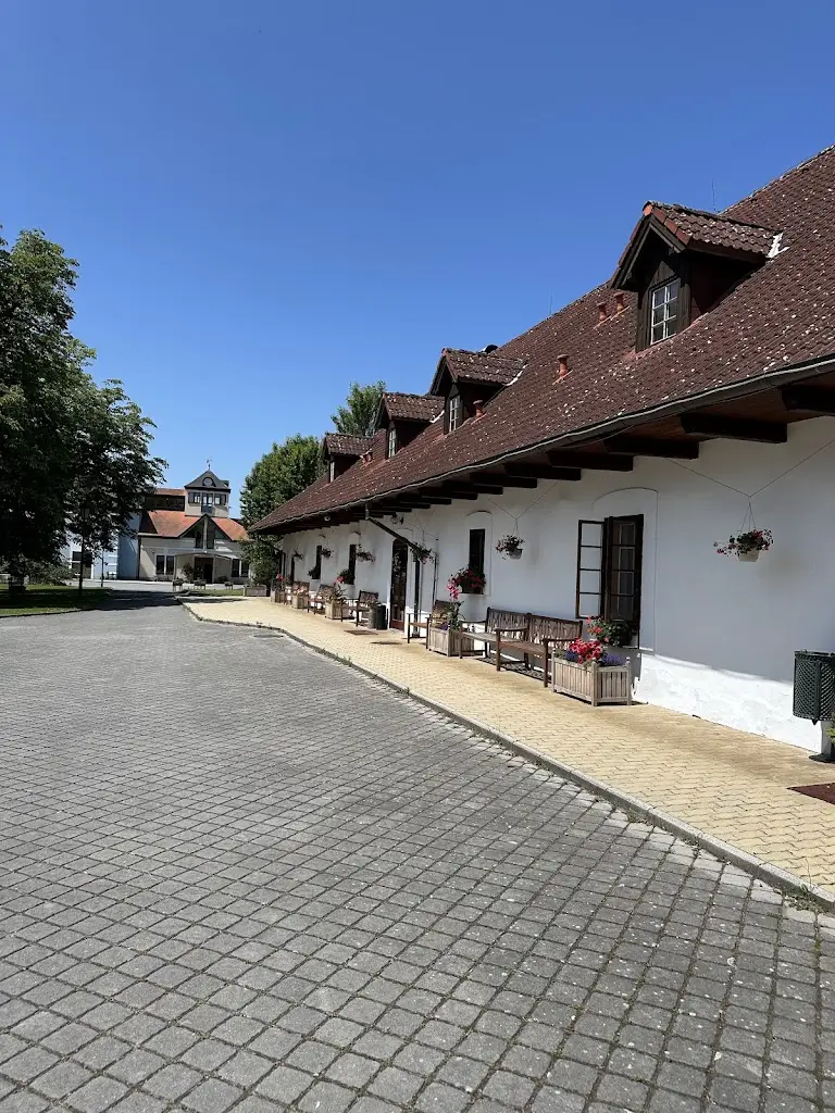 Stylová restaurace Darovanský dvůr_Břasy_slider_image_2