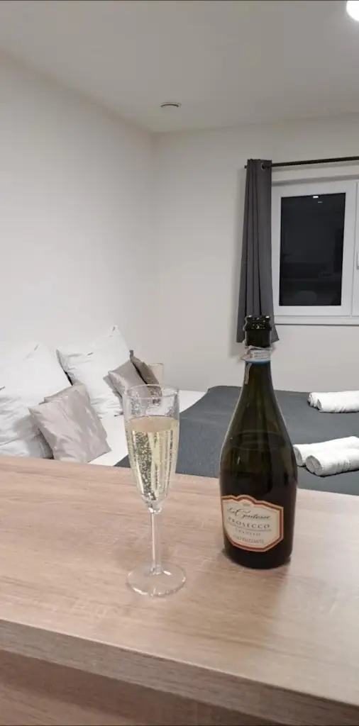 Michaela Vondruskova_Hotel Smrž_Milevsko_recensione