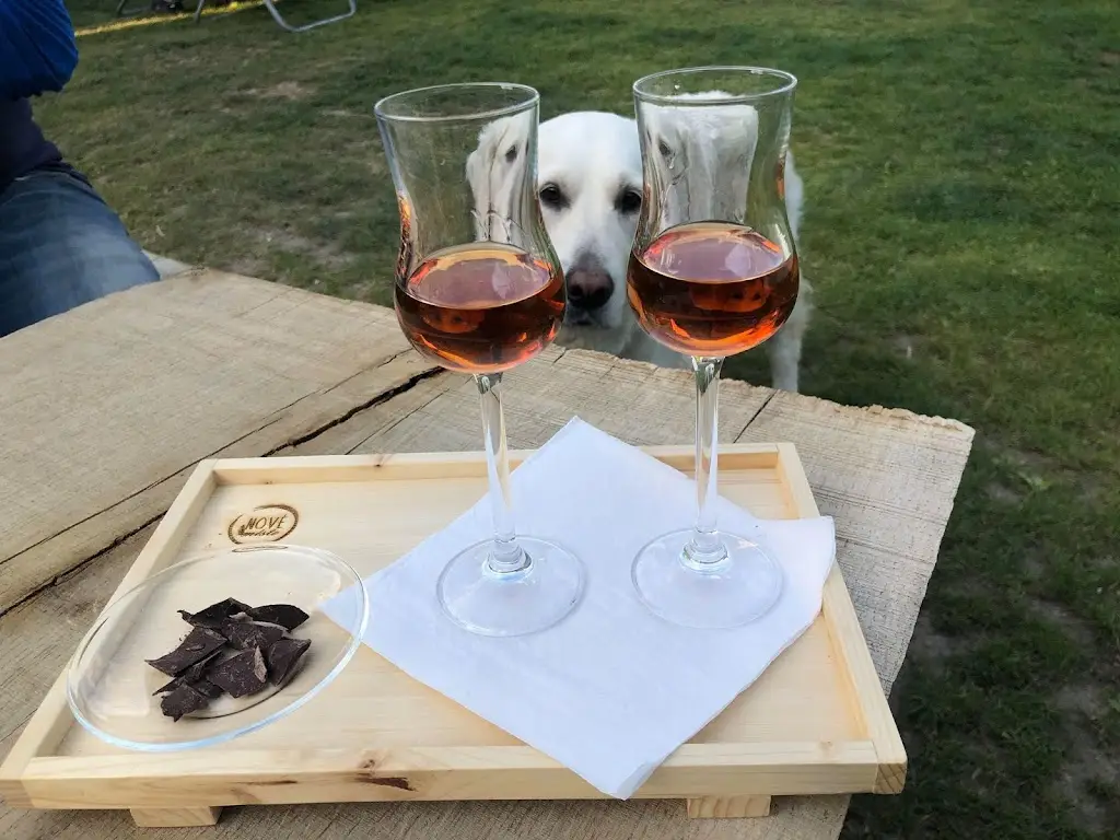 Občerstvení Nové Místo_Slatiňany_slider_image_3