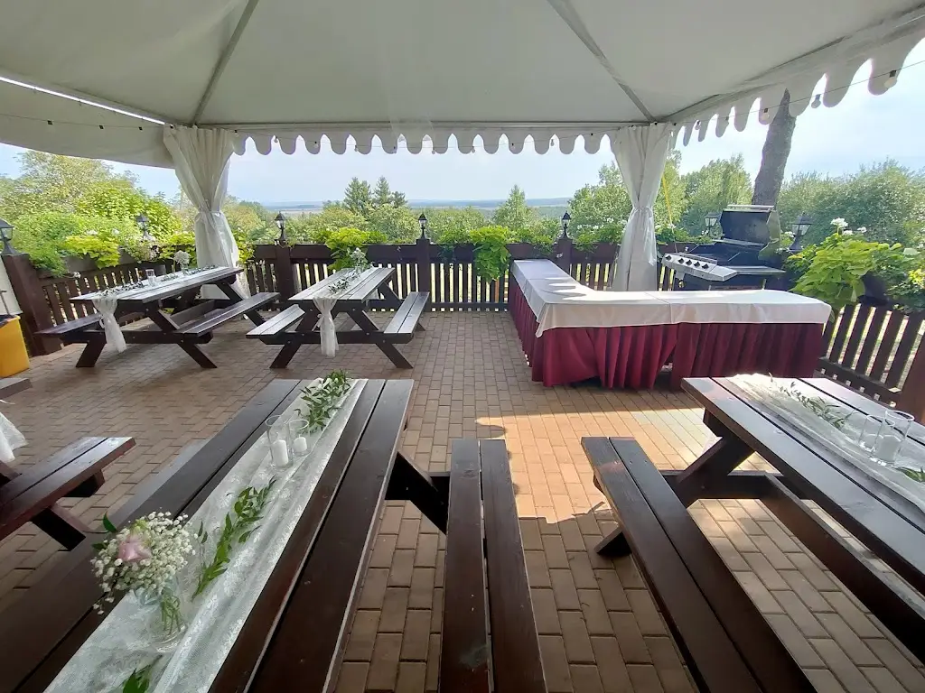 Výletní restaurace MONACO_Slatiňany_slider_image_1