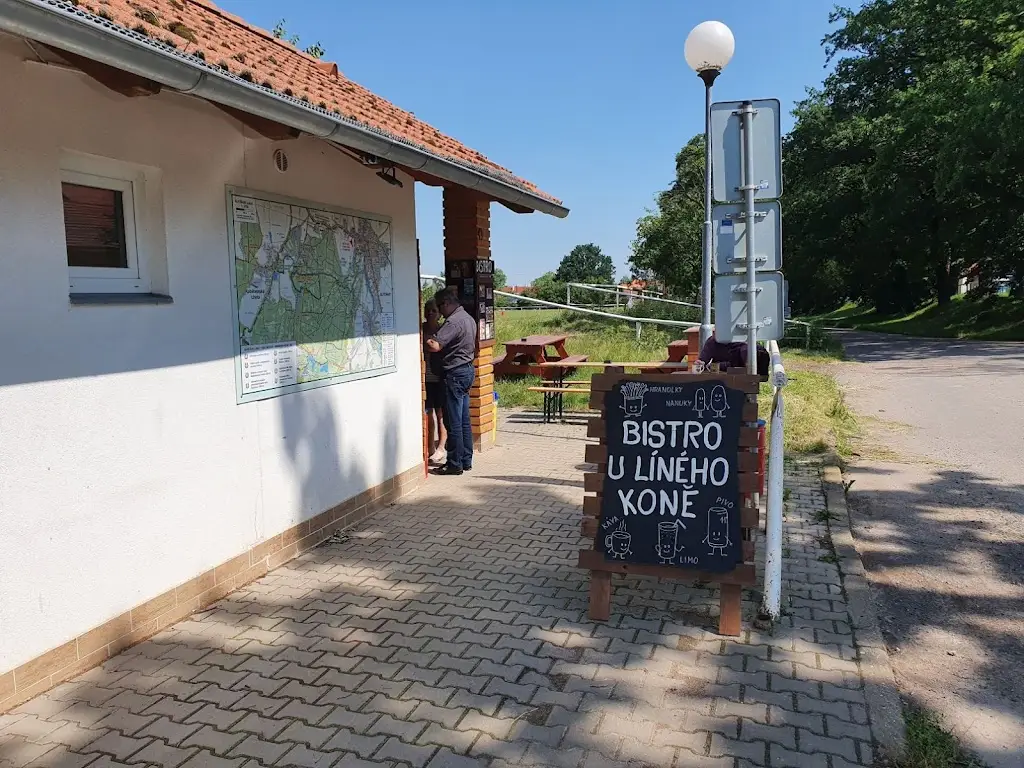 Bistro u líného koně_Slatiňany_slider_image_2