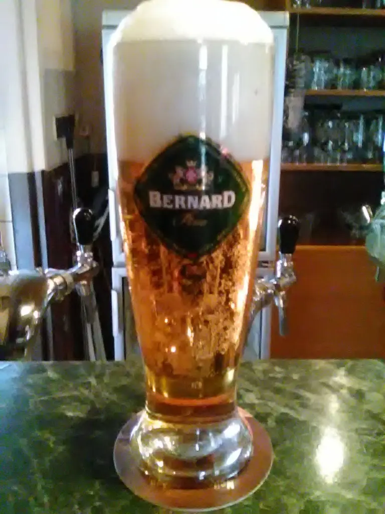 Václav Šafránek_Steakhouse Na Palubě_Milevsko_review