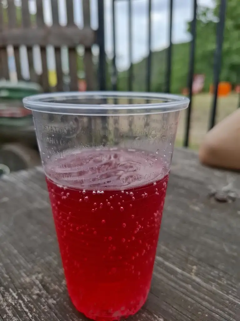 Žižkovská Dělnická_Občerstvení_Třemošnice_review