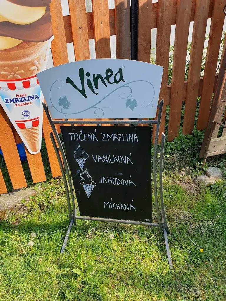 Honza Švancara_Občerstvení_Třemošnice_review