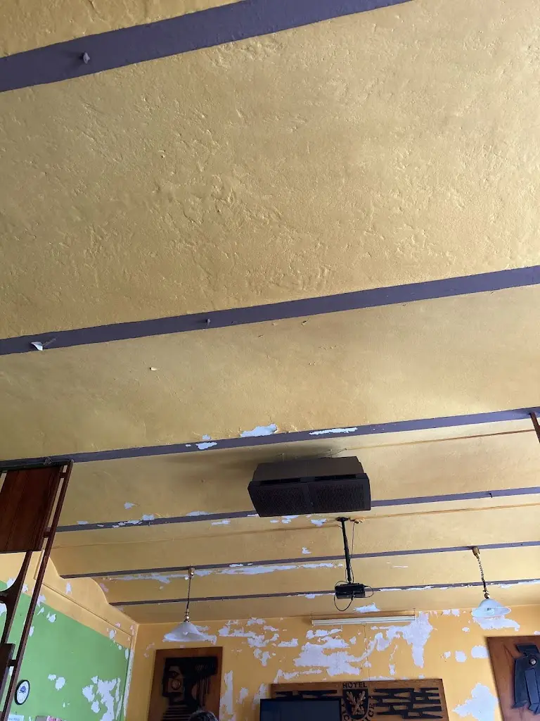 Nikolas Lapáček_Hotel Lichnice_Třemošnice_review