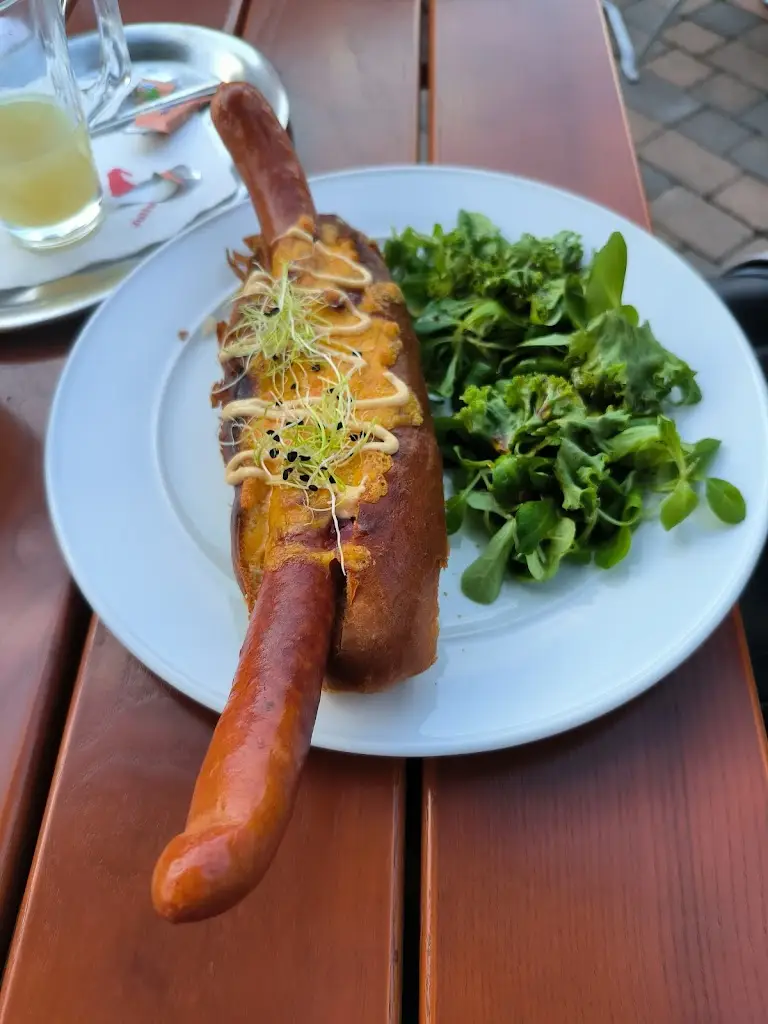 Wi-Fi Free CZ_Dvoreček Dýšina_Dýšina_review