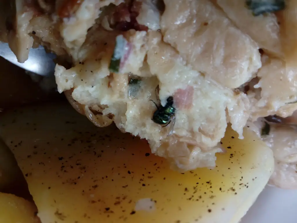 David Nepras_Jídelna IPPE_Dýšina_review