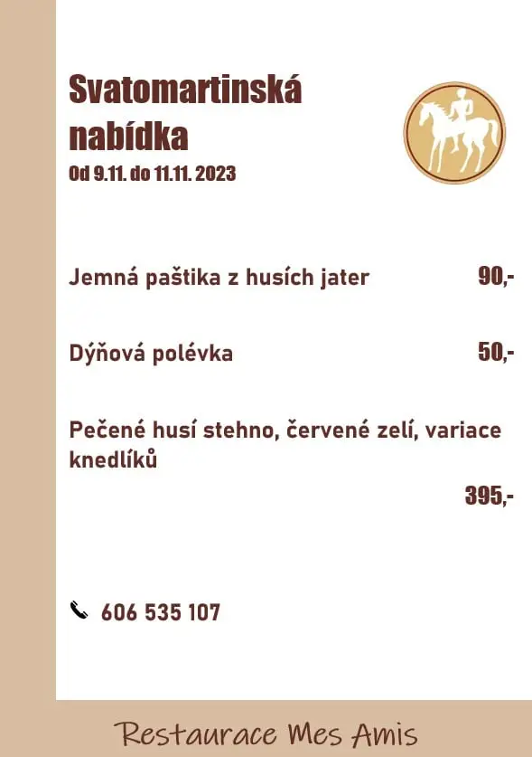 Menu_Restaurace Mes Amis Planá_Chodová Planá_image_3
